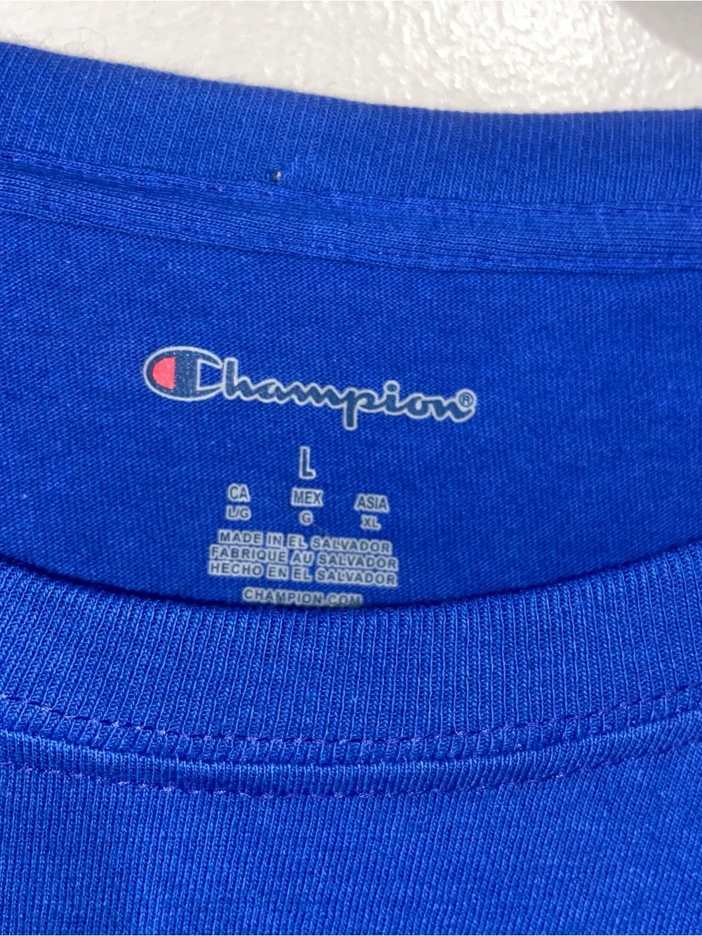 Champion Shirt Mens Large Florida Gulf Coast FGCU Eagles Blue Short Sleeve - Picture 6 of 12